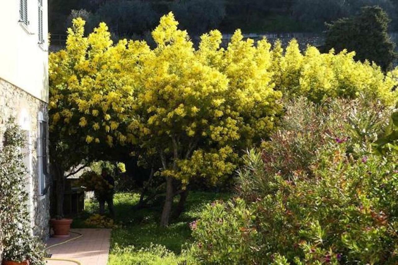 Agriturismo San Michele Di Danio Giovanni Dolcedo Eksteriør bilde