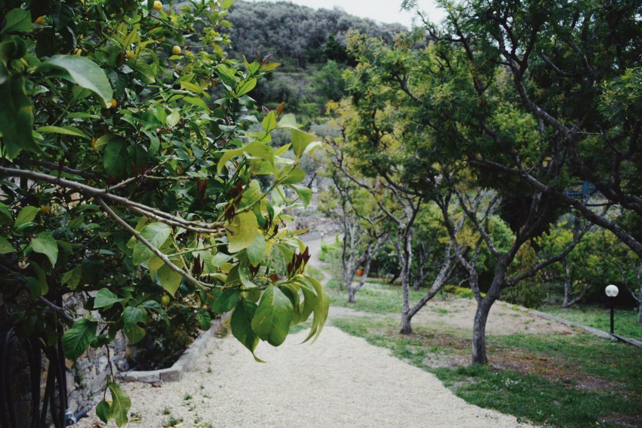 Agriturismo San Michele Di Danio Giovanni Dolcedo Eksteriør bilde